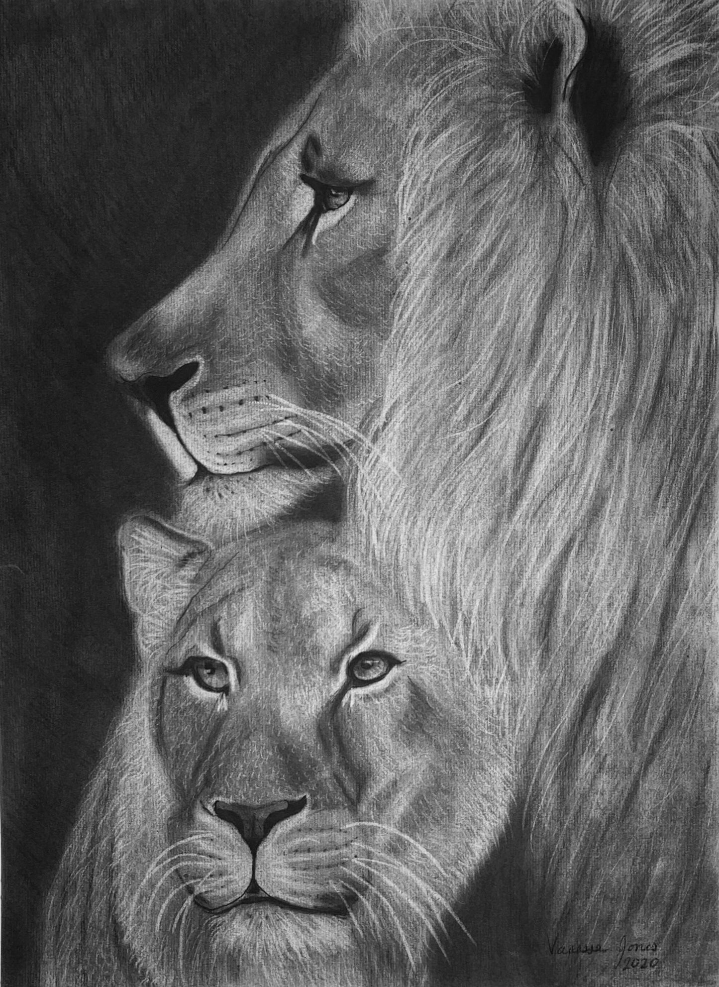 Lion Pair